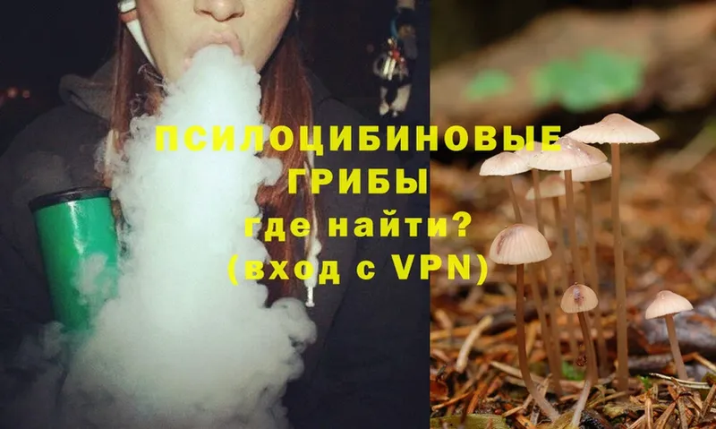 что такое   Белый  Галлюциногенные грибы MAGIC MUSHROOMS 